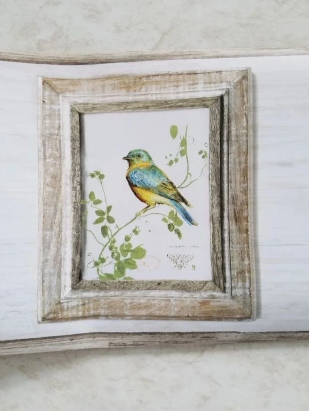 Wallpaper Border Feathers Birds & Ferns